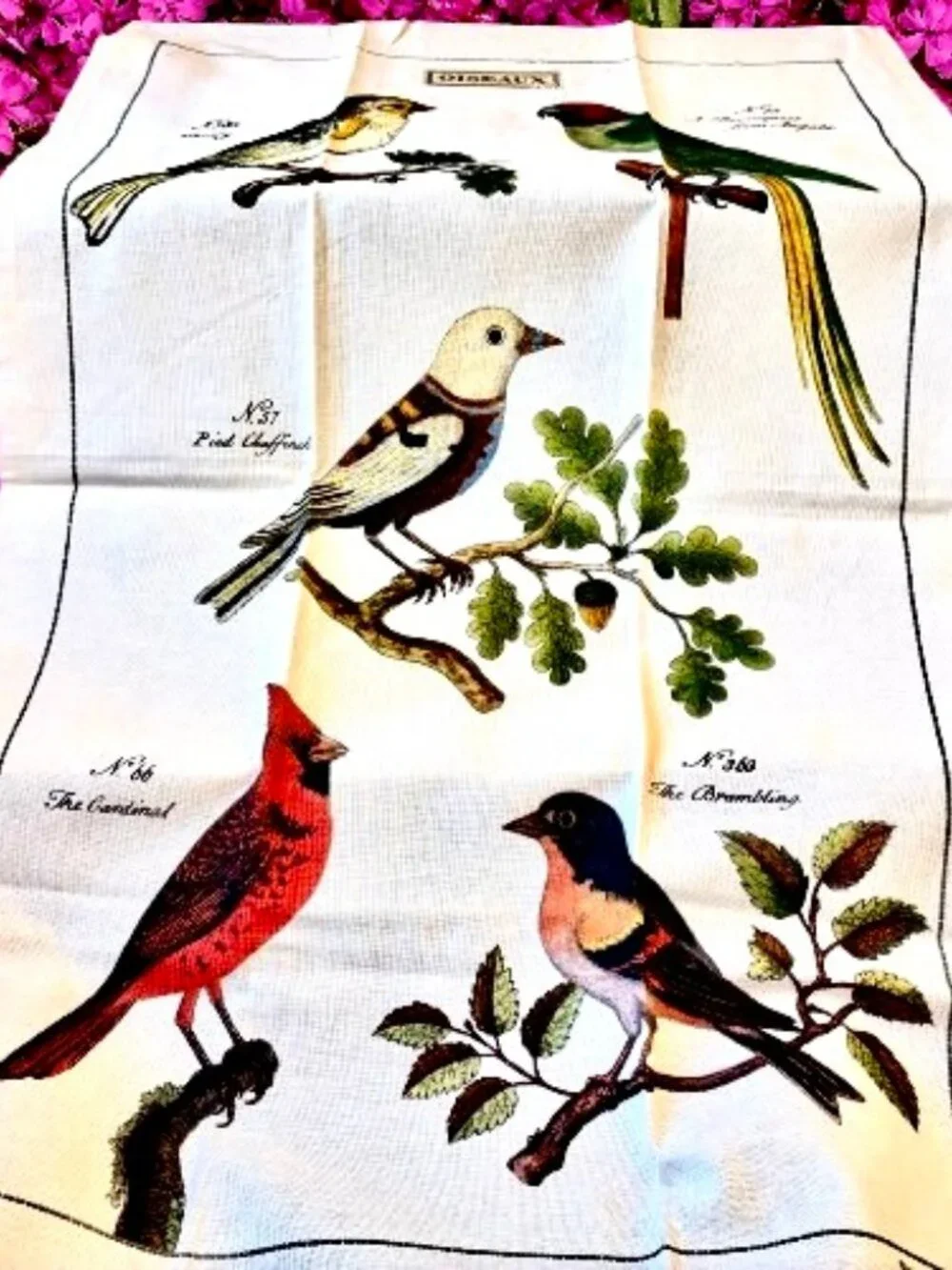 Cavallini & Co. Vintage Kitchen Tea Towel 100% Natural Cotton BIRDS New